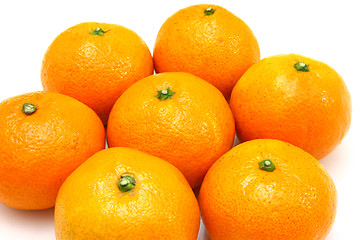 Image showing Group a tangerine 