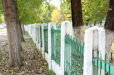 Image showing green fence autumn park