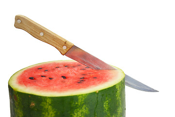 Image showing Watermelon with dry stem