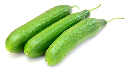 Image showing The fresh green cucumber