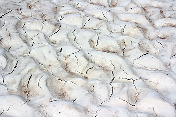 Image showing cracked clay ground into the dry season