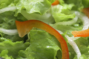 Image showing Salad