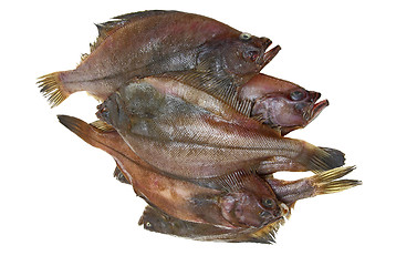 Image showing Four fresh flounder fishes 