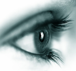 Image showing Female eye
