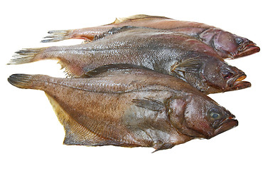 Image showing Four fresh flounder fishes 