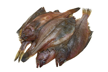 Image showing Four fresh flounder fishes 