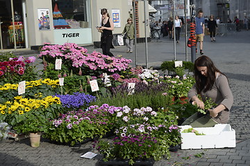 Image showing Seller of flowers