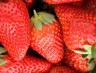 Image showing Fresh ripe perfect strawberry