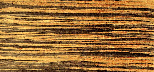 Image showing Wood texture close-up background