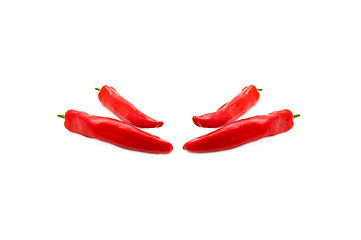 Image showing Red peppers on white background