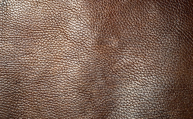 Image showing Natural brown leather texture. Close up.