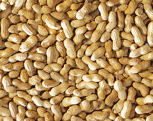 Image showing close-up of some peanuts. background