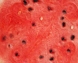 Image showing Watermelon