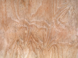 Image showing old wood texture