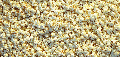 Image showing Pop corn maize useful as a background