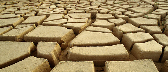 Image showing Dry and cracked mud in dried up waterhole