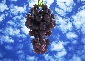 Image showing grapes on blue sky.