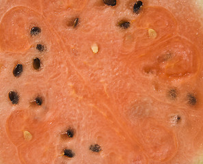 Image showing watermelon close up