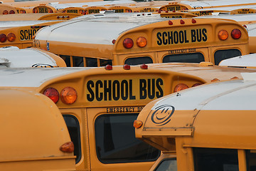 Image showing School buses