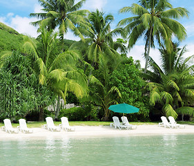 Image showing Beautiful ocean beach in summer