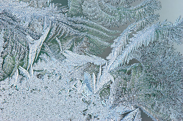 Image showing Frosty natural pattern