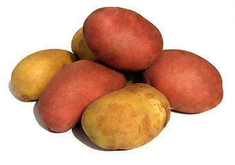 Image showing Fresh white and red potatoes