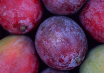 Image showing Fruit plums blue