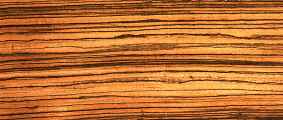 Image showing old wood texture (for background)