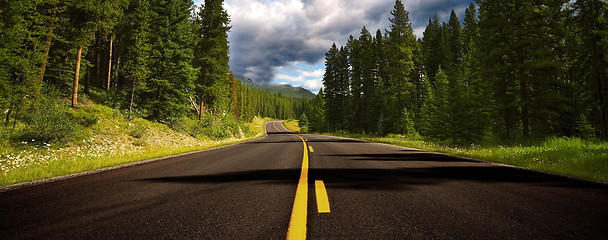 Image showing Asphalt road running through forest