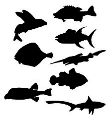 Image showing fish silhouettes vector