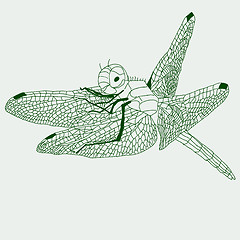 Image showing dragonfly  drawing , vector.