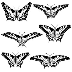 Image showing Vector set of beautiful butterflies.