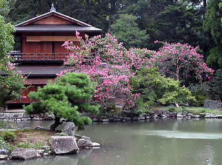 Image showing Japanese house and its garden