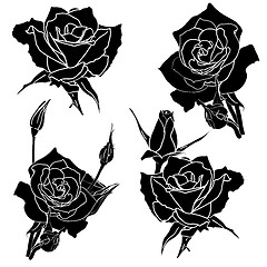 Image showing tattoo rose flower