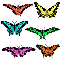 Image showing Vector set of beautiful butterflies.