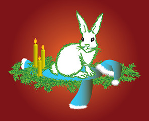 Image showing The white hare