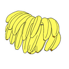 Image showing A vector stylized bananas