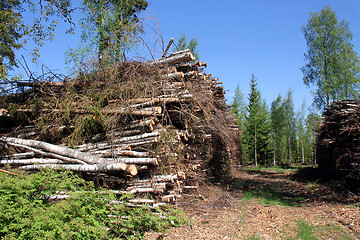 Image showing Wood Fuel for Power and Energy in Summer Forest