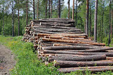 Image showing Stacked wood by forest road at summer