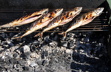 Image showing Grilled fish on barbecue