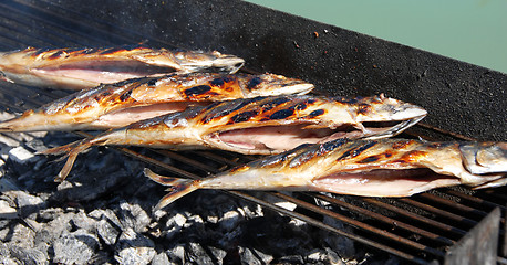 Image showing Grilled fish on barbecue