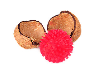 Image showing  Coconut shells with red ball isolatet on a white backround