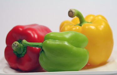 Image showing Paprika