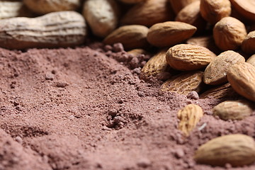 Image showing cacao and nuts