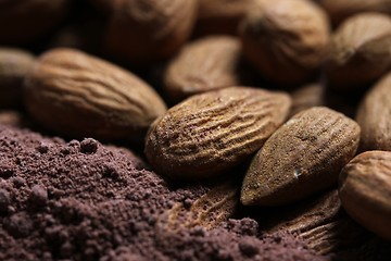 Image showing almonds in cacao