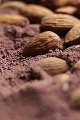 Image showing almonds in cacao