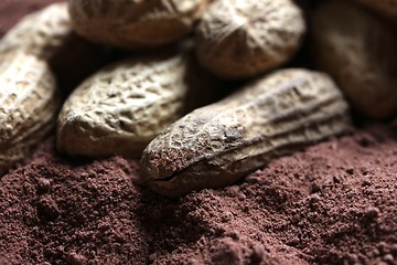 Image showing peanuts in cacao