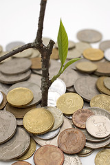 Image showing Financial growth.Conceptual image.