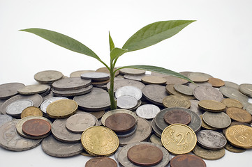 Image showing Financial growth.Conceptual image.