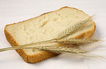 Image showing Bread and wheat.